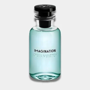 Imagination EDP